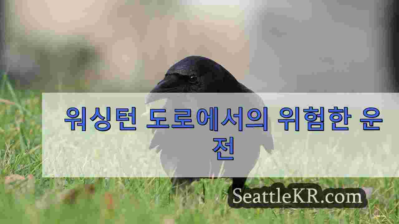 워싱턴 도로에서의 위험한 운전