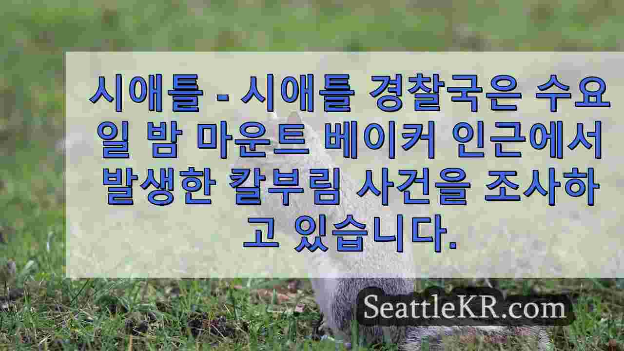 시애틀 경찰, 마운트 베이커 인근에서 칼부림 가능성 조사