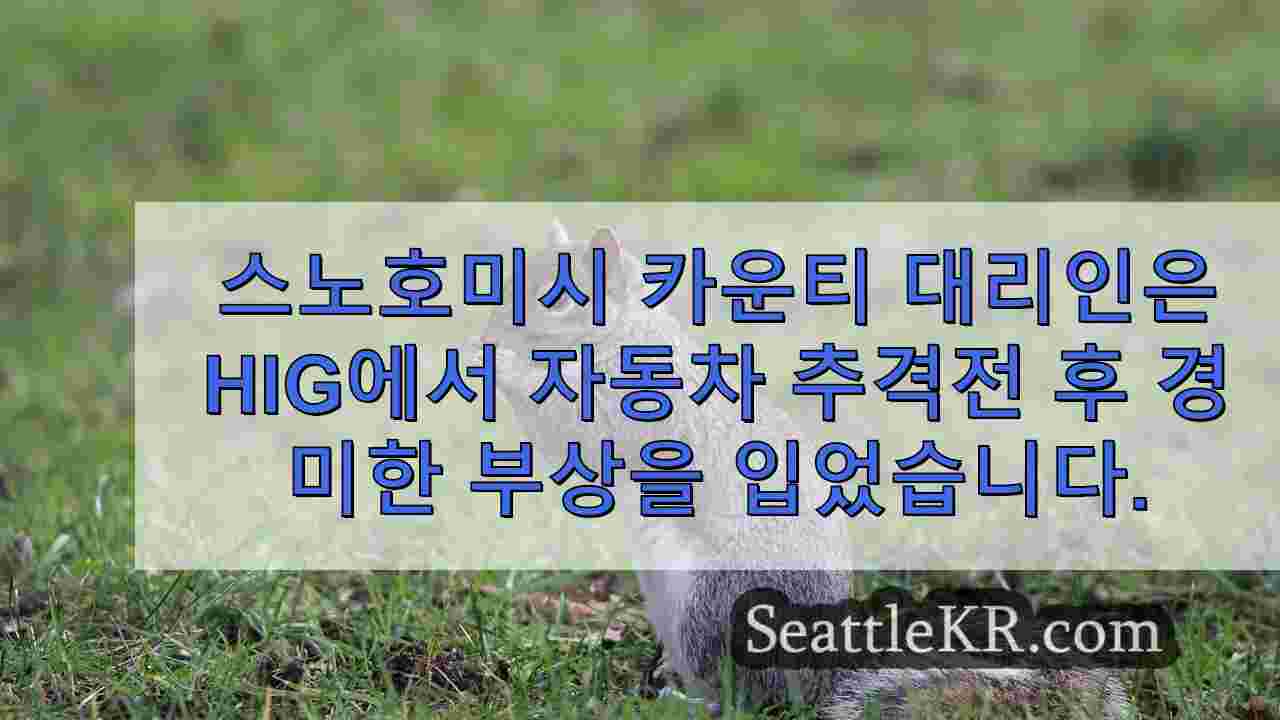 스노호미시 카운티 보안관, 2번 고속도로에서 자동차 추격전 후 경상을