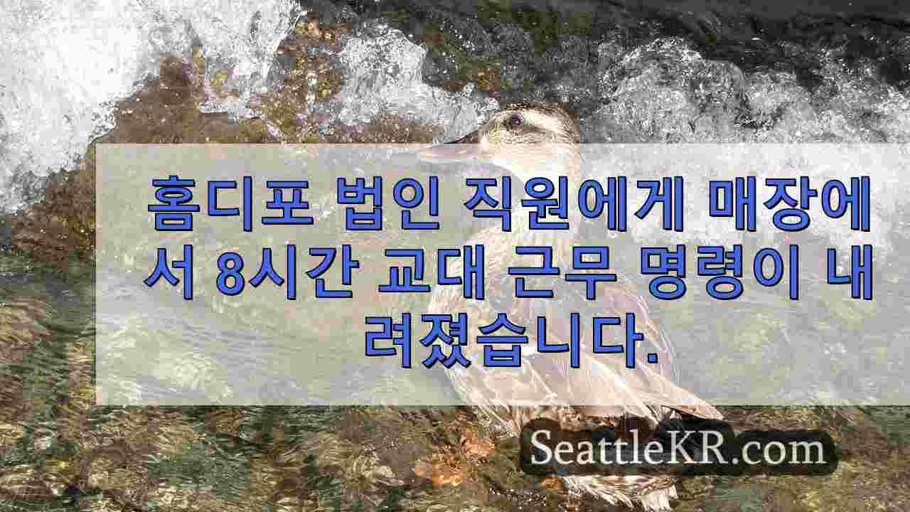 시애틀 뉴스 SeattleKR