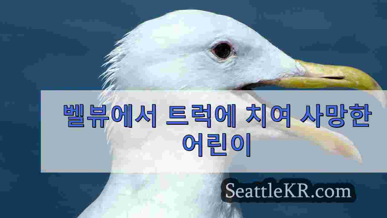 벨뷰에서 트럭에 치여 사망한 어린이