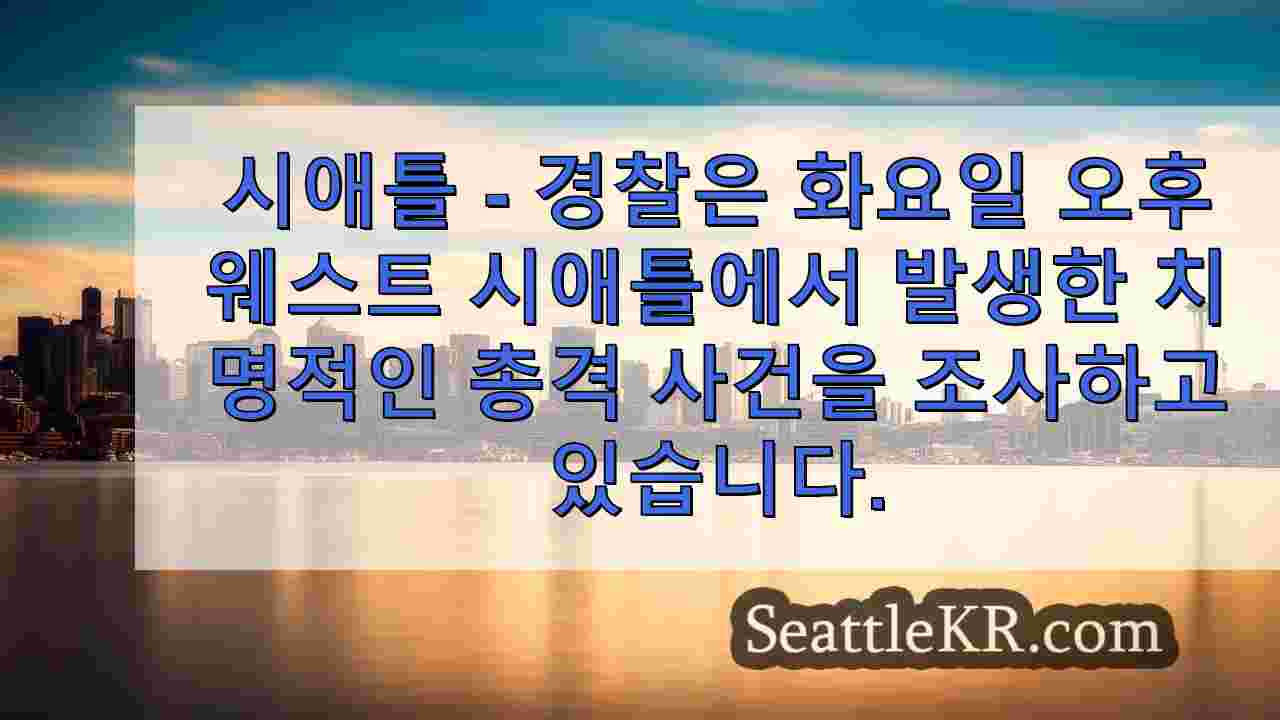 시애틀 뉴스 SeattleKR