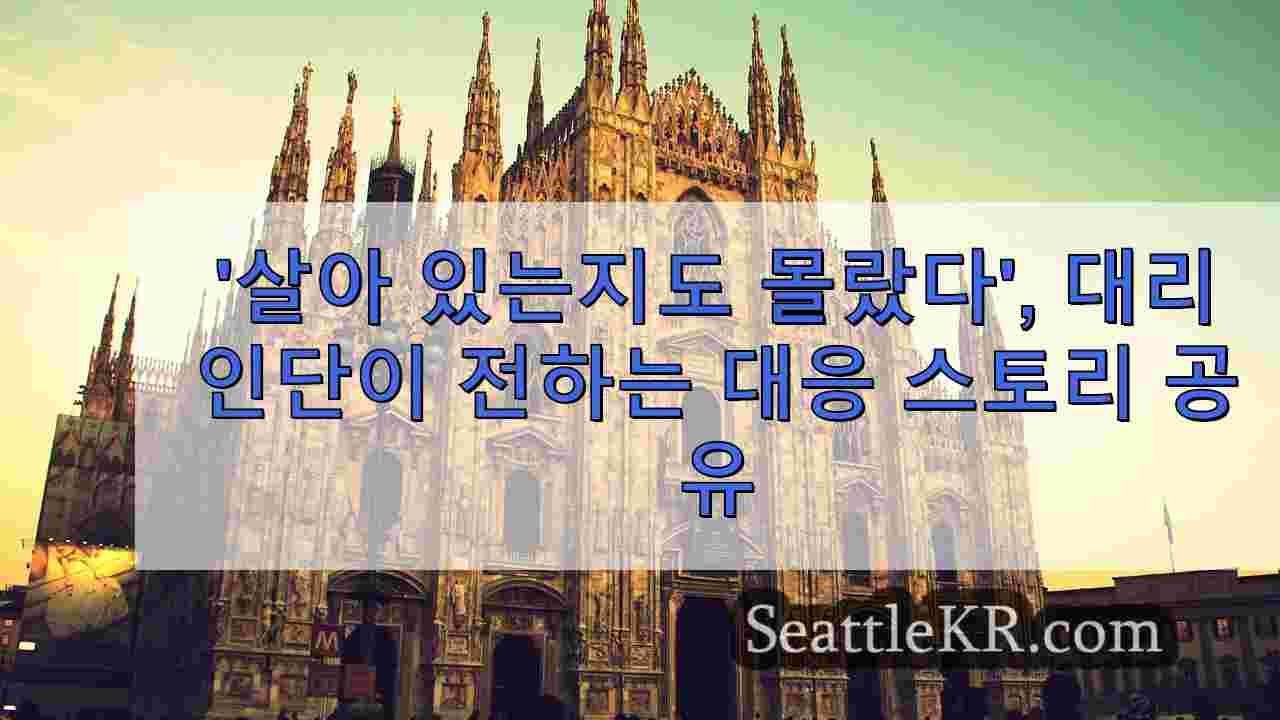 시애틀 뉴스 SeattleKR
