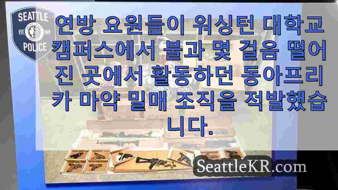 시애틀 뉴스 SeattleKR