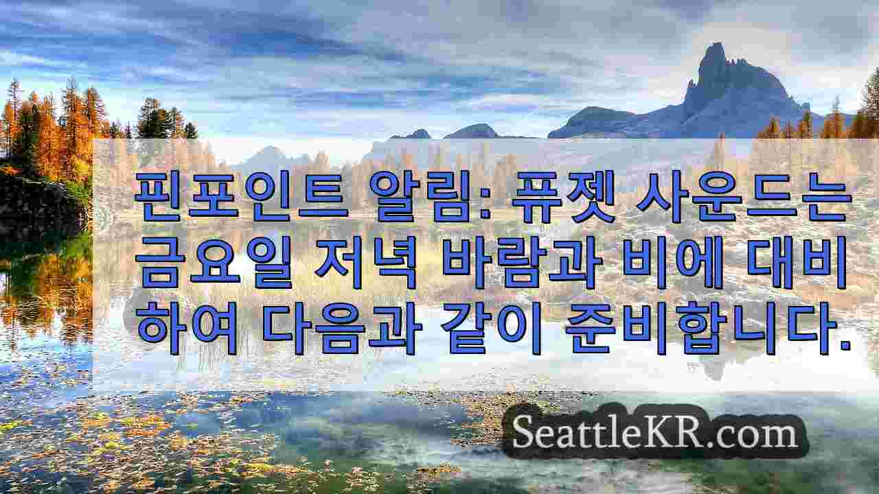 시애틀 뉴스 SeattleKR