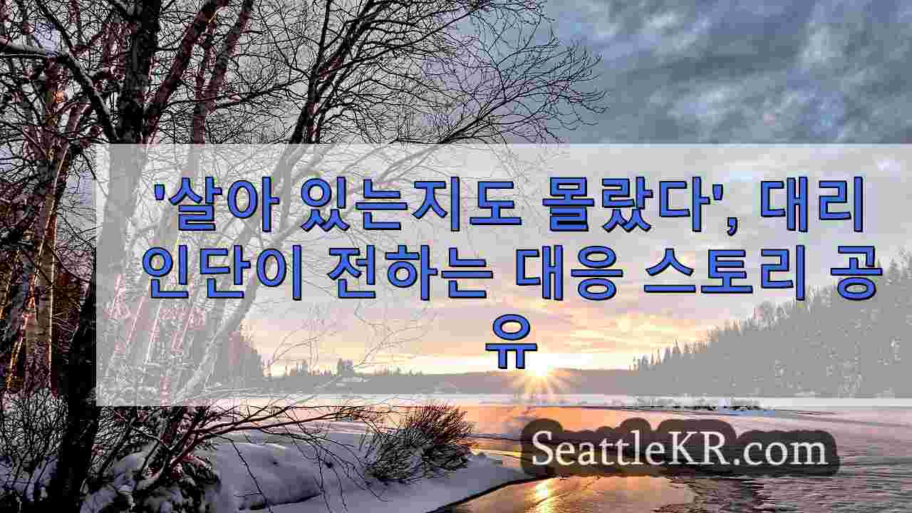 시애틀 뉴스 SeattleKR