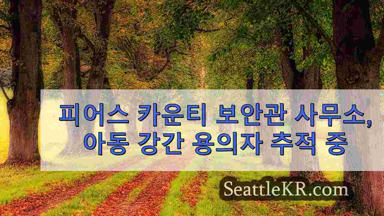 시애틀 뉴스 SeattleKR
