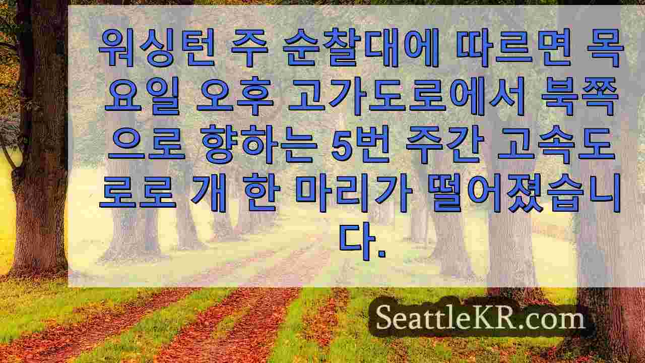 시애틀 뉴스 SeattleKR