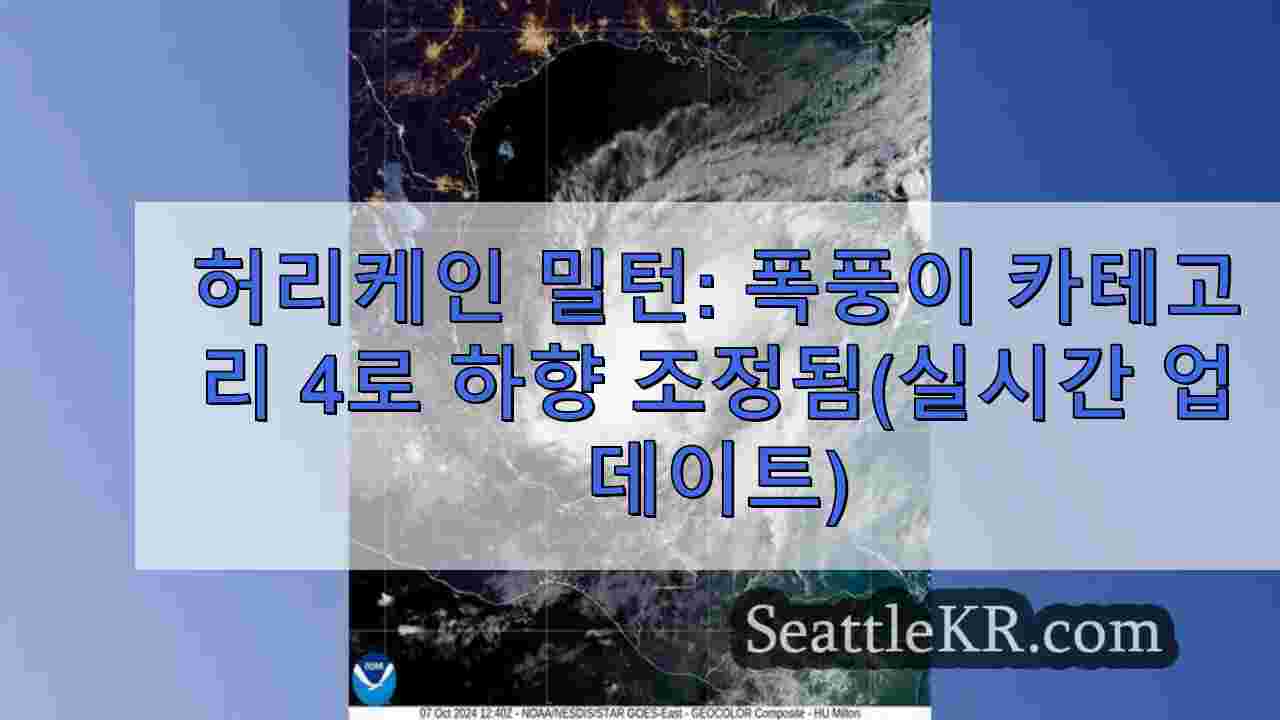 허리케인 밀턴: 폭풍이 카테고리 4로 하향 조정됨(실시간 업데이트)