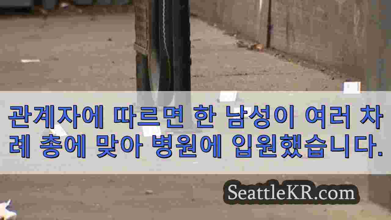 시애틀 뉴스 SeattleKR