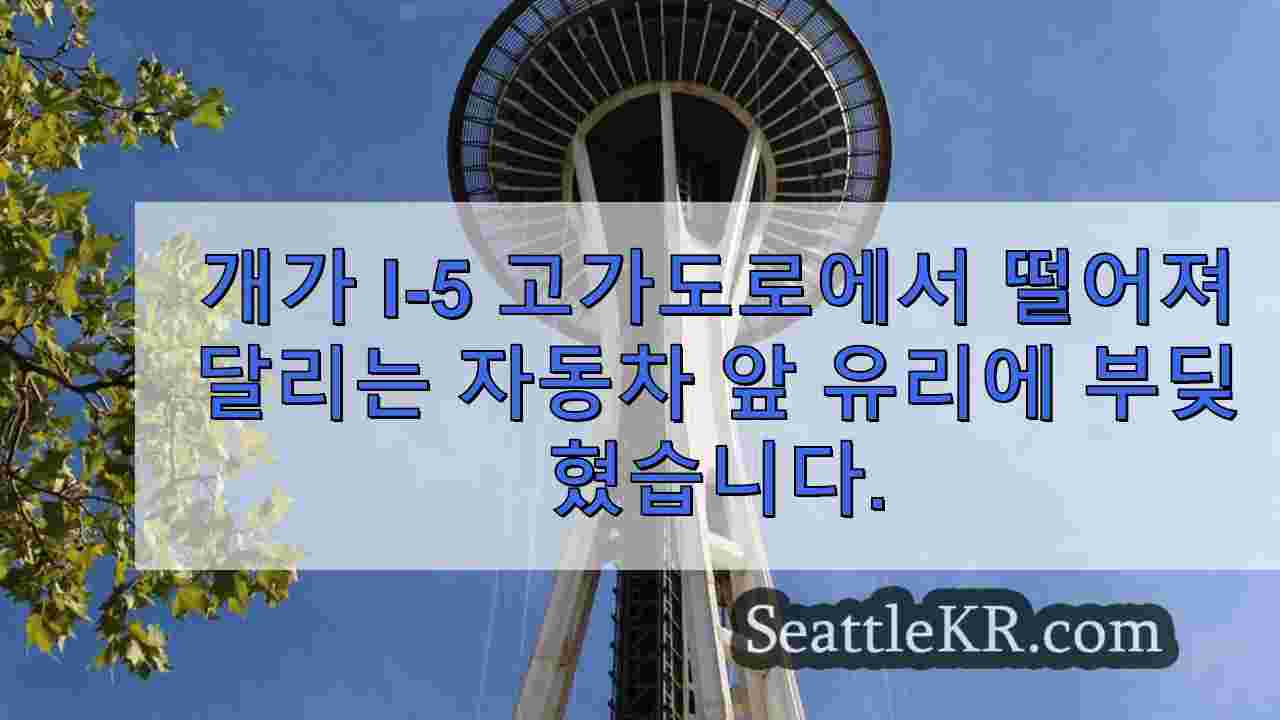 시애틀 뉴스 SeattleKR