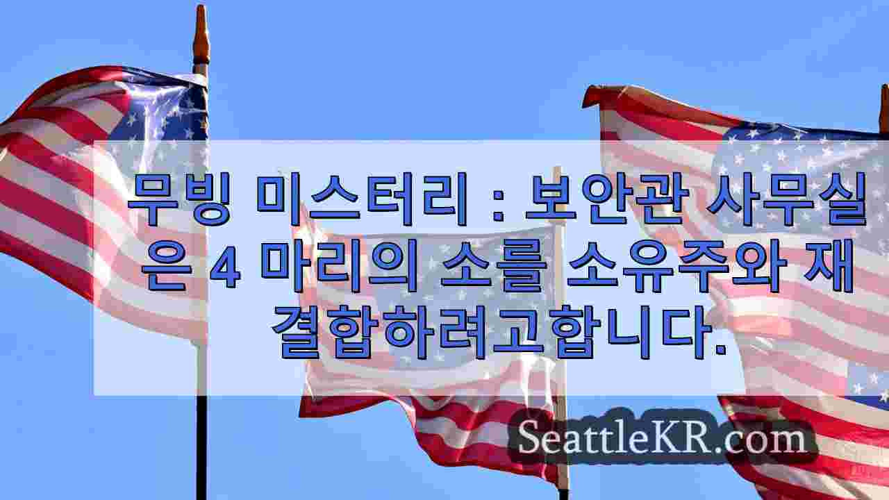 시애틀 뉴스 SeattleKR