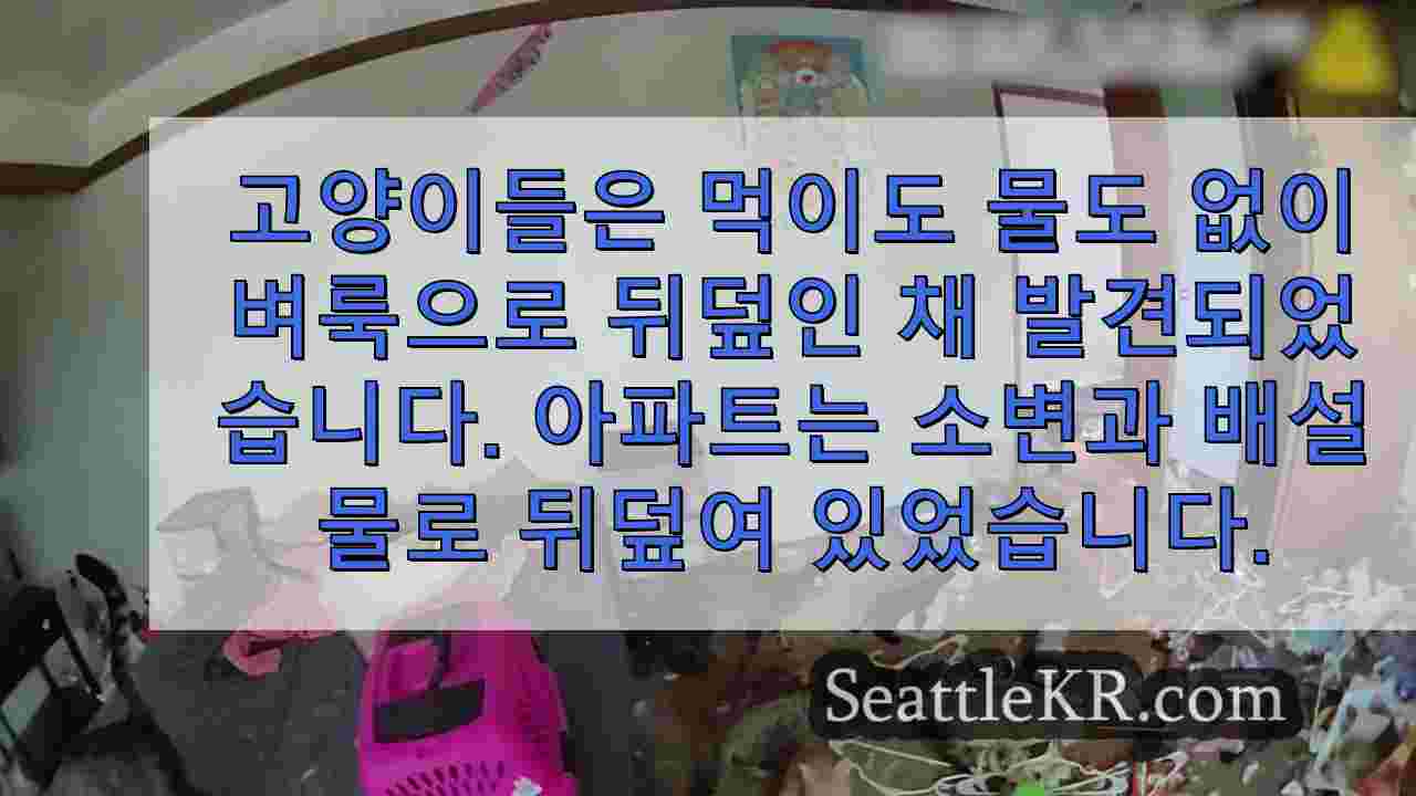 시애틀 뉴스 SeattleKR