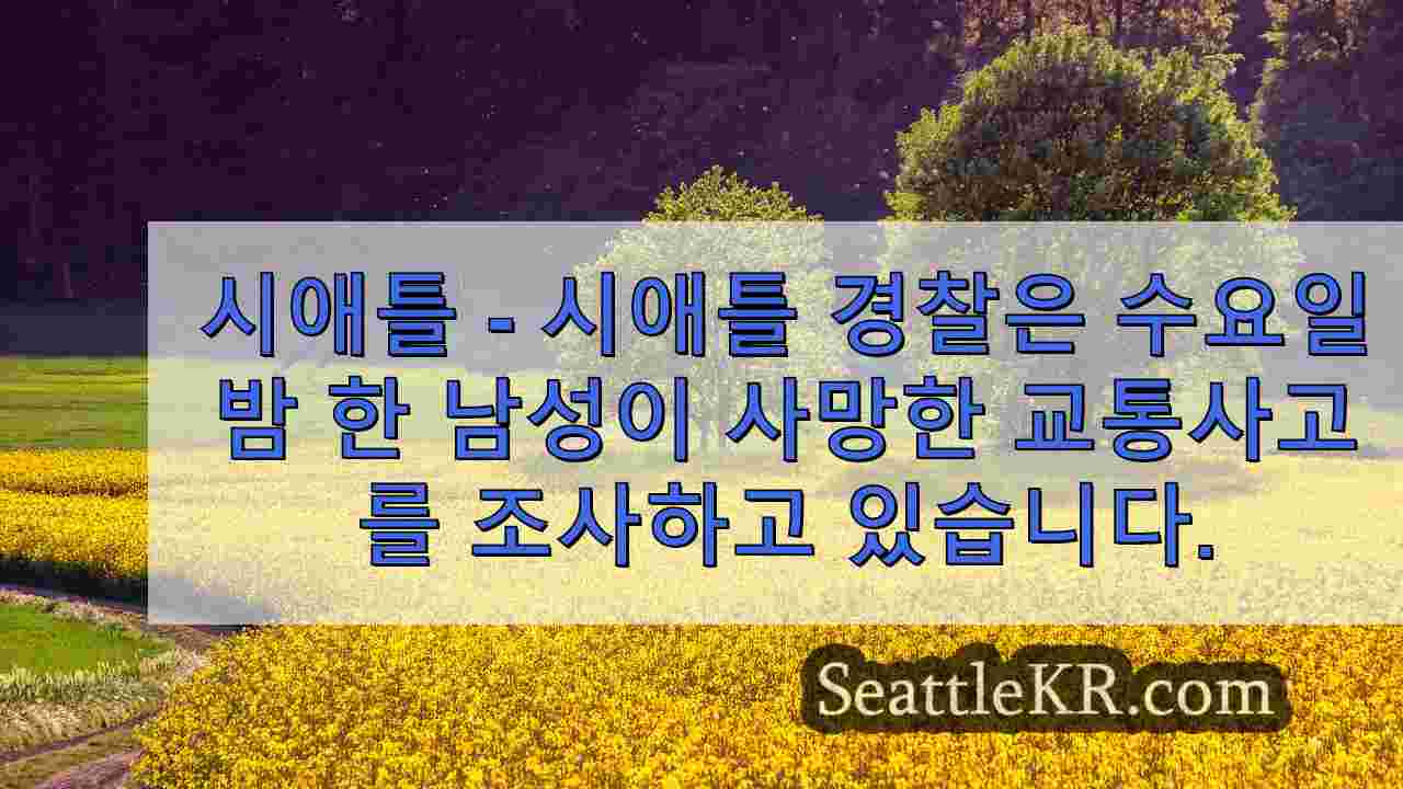 웨스트 시애틀에서 주차된 SUV와 충돌 후 사망한 남성