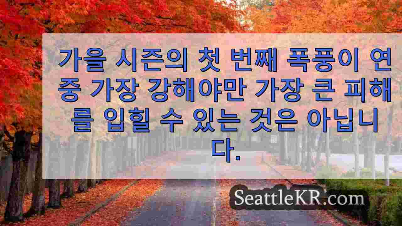 워싱턴 서부에서 금요일 밤에 어둡고 폭풍우가 예상됩니다.