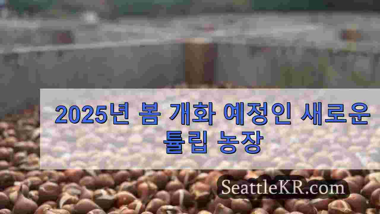 시애틀 뉴스 SeattleKR