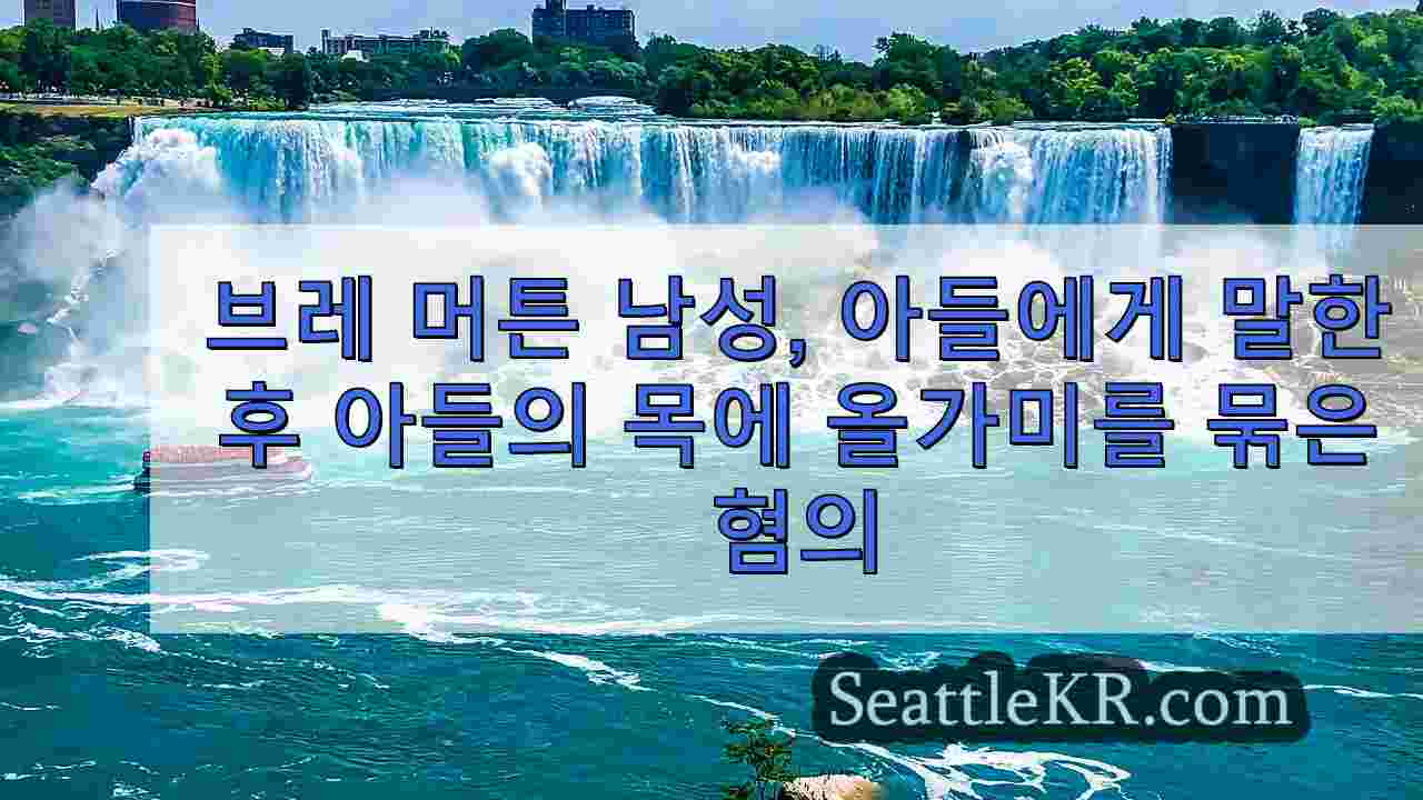시애틀 뉴스 SeattleKR