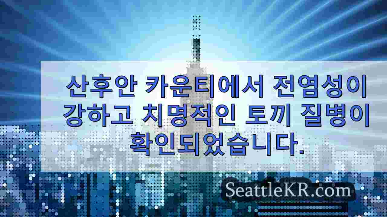 시애틀 뉴스 SeattleKR