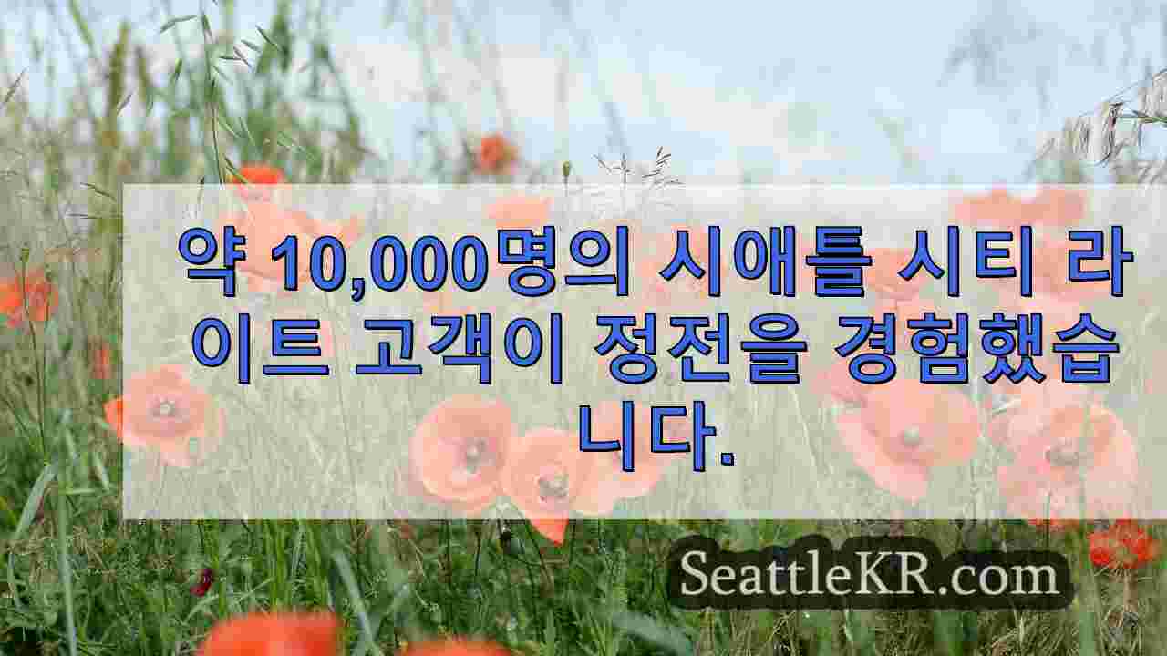 시애틀 뉴스 SeattleKR