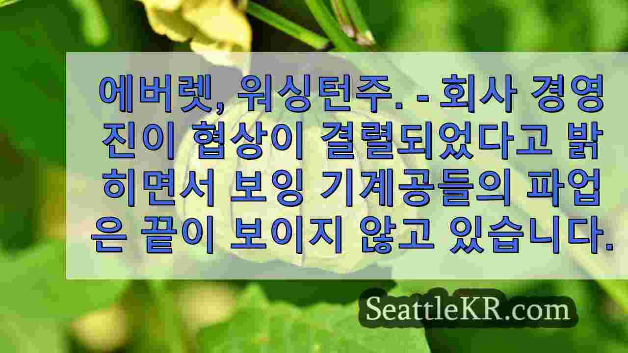 시애틀 뉴스 SeattleKR