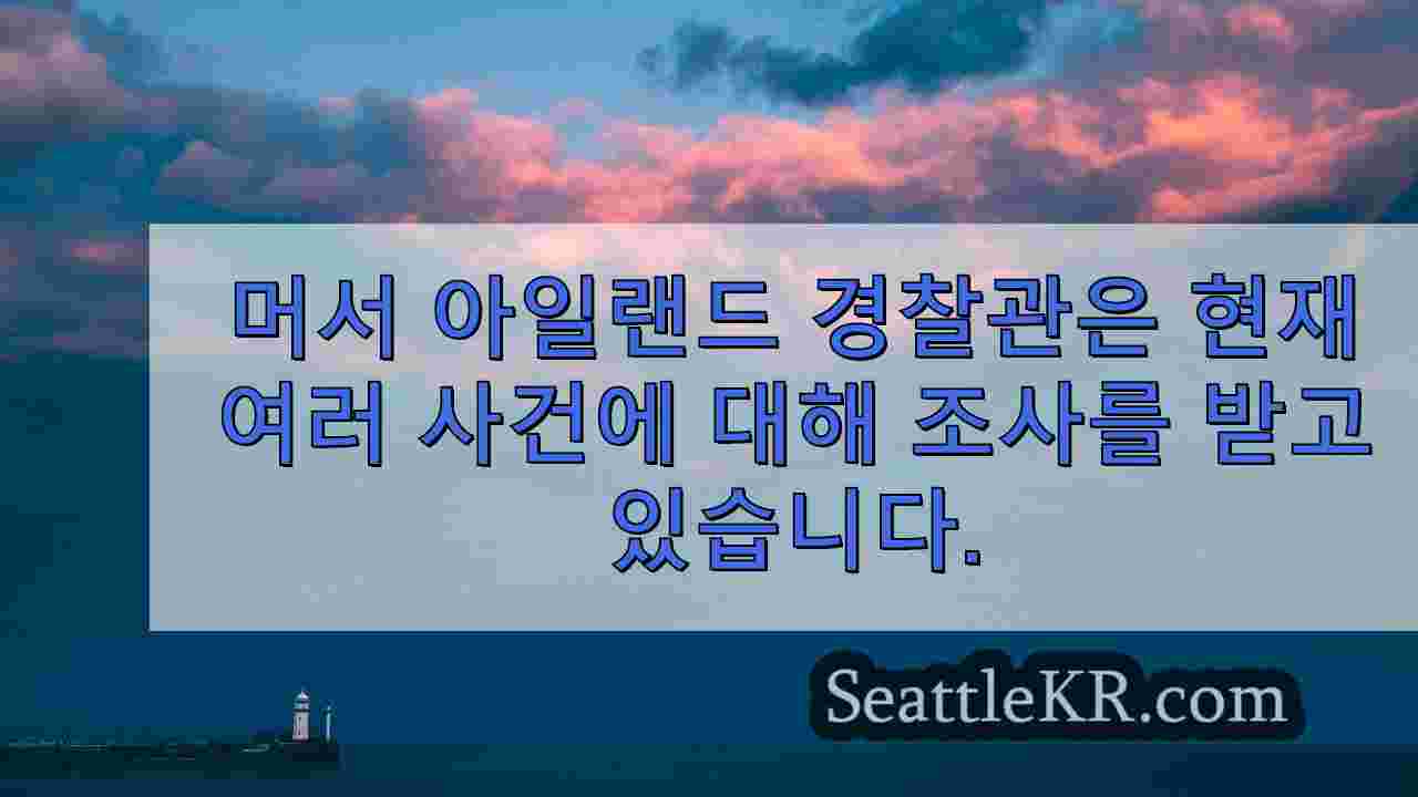 섹스 토이 장난, 권력 남용으로 머서 아일랜드, 워싱턴 주 경찰이
