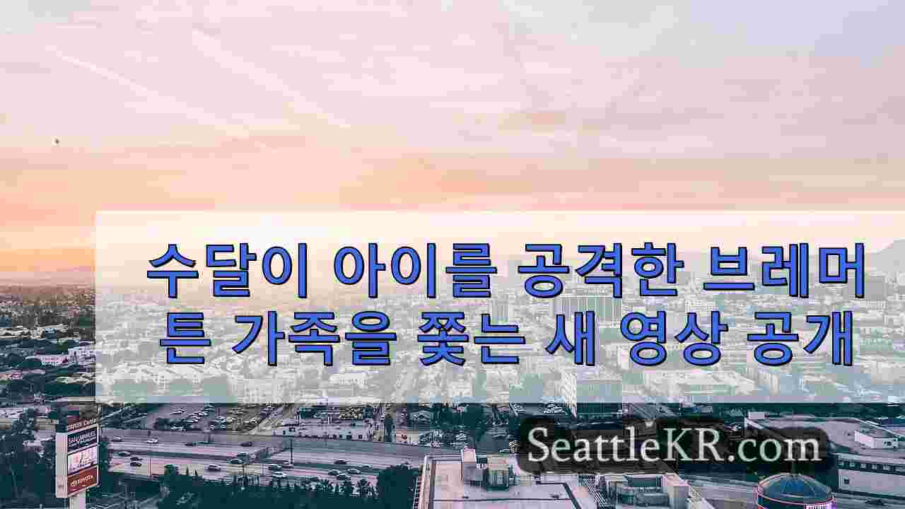 시애틀 뉴스 SeattleKR