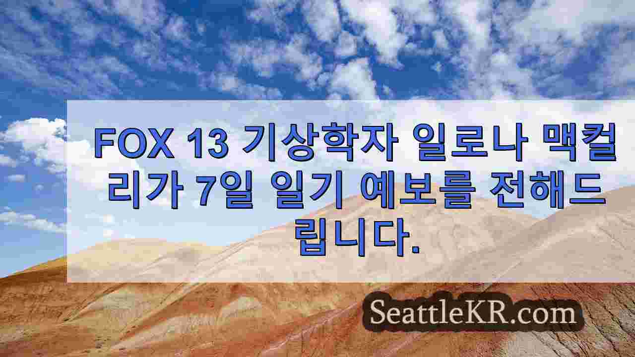 시애틀 뉴스 SeattleKR