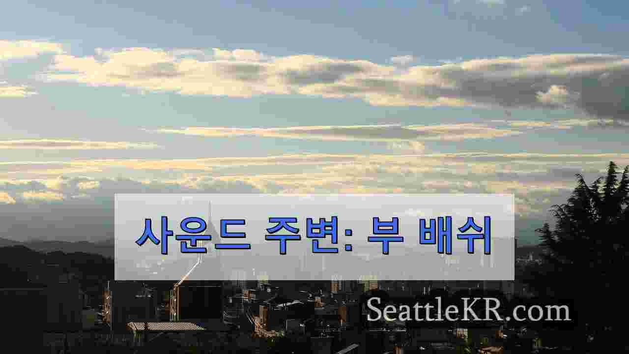 시애틀 뉴스 SeattleKR