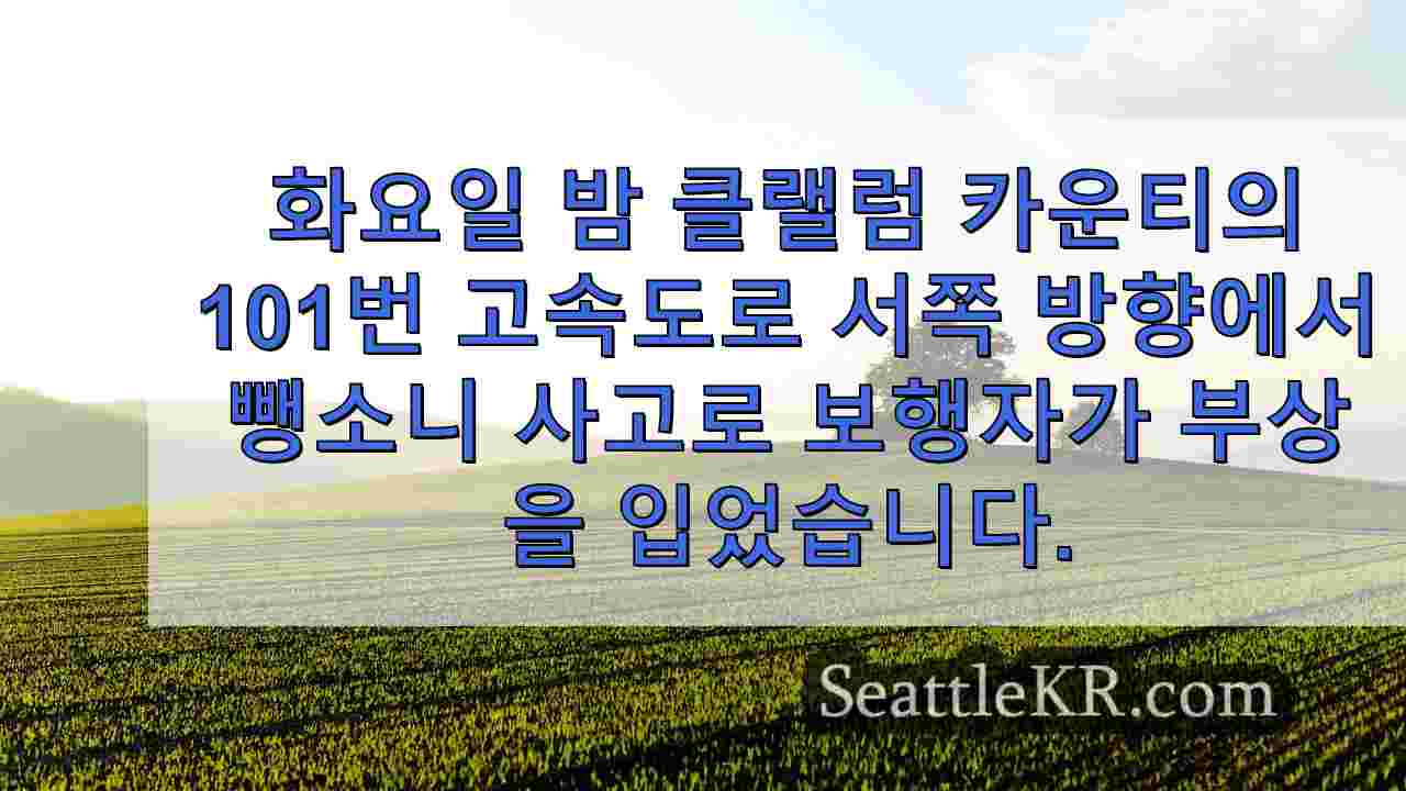 시애틀 뉴스 SeattleKR