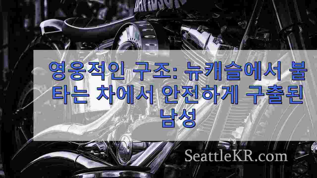 시애틀 뉴스 SeattleKR