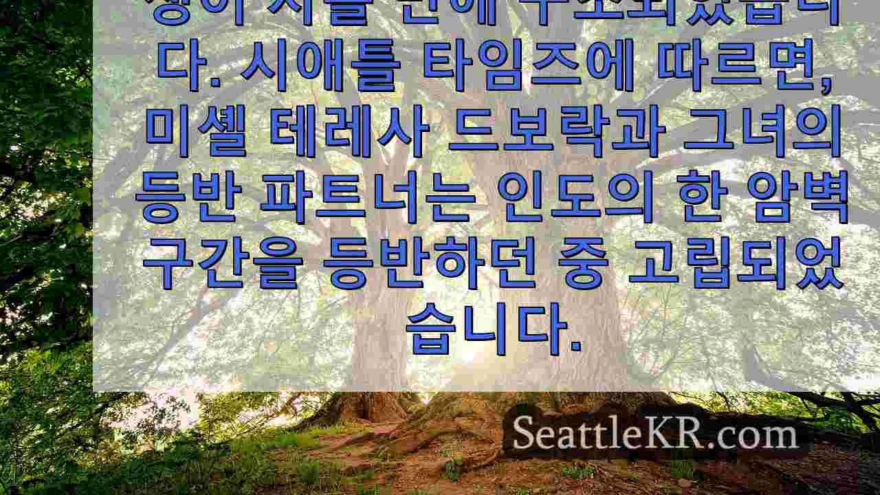 시애틀 뉴스 SeattleKR