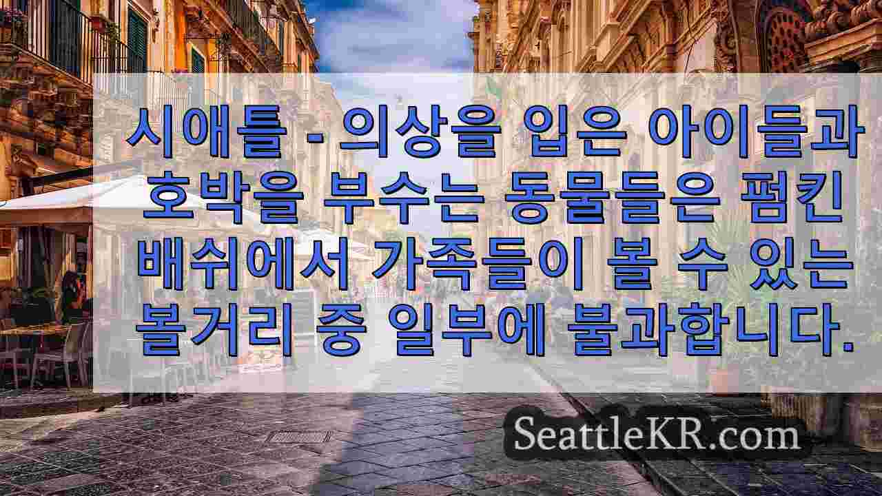 시애틀 뉴스 SeattleKR