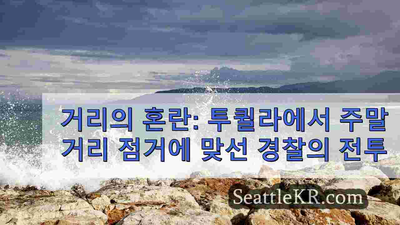 시애틀 뉴스 SeattleKR