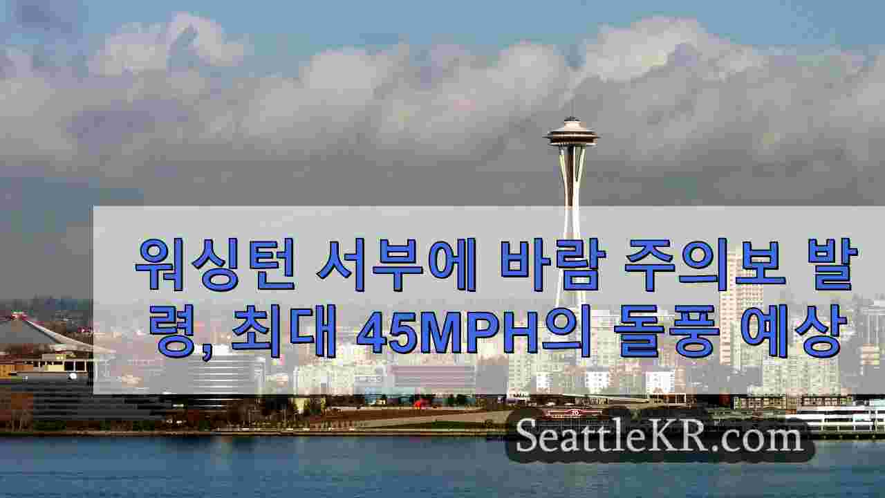 시애틀 뉴스 SeattleKR