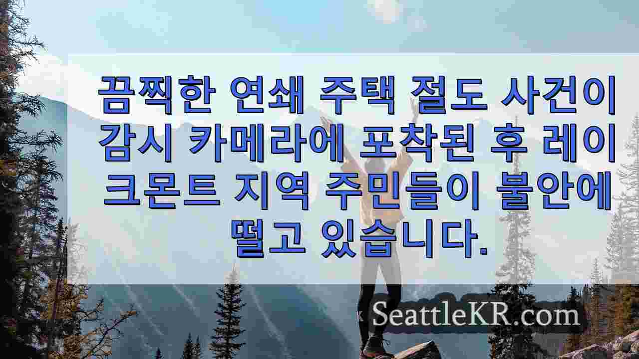 벨뷰 절도 행각이 침실 영상을 통해 공포를 불러 일으켰습니다.