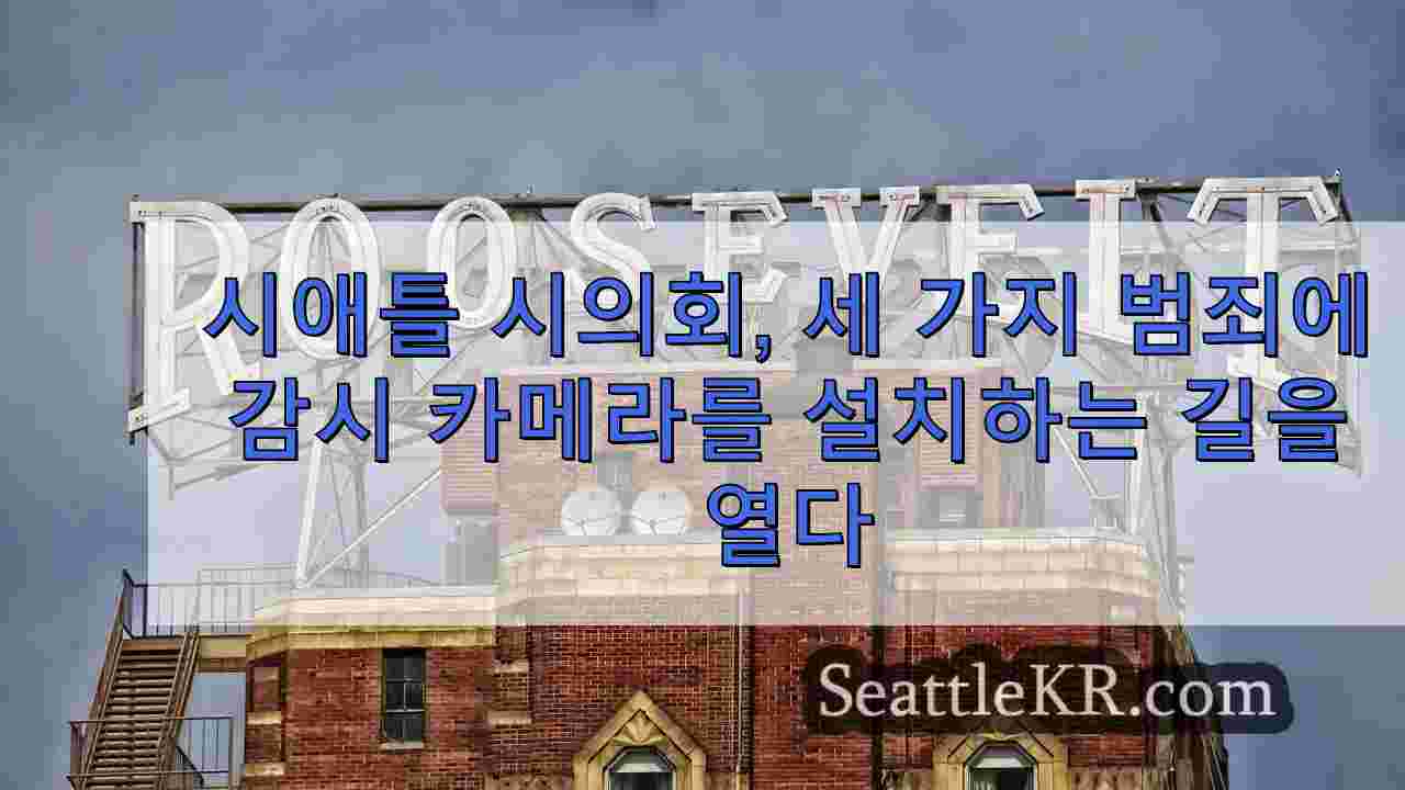 시애틀 시의회, 범죄 다발 지역 3곳에 감시 카메라 설치 추진
