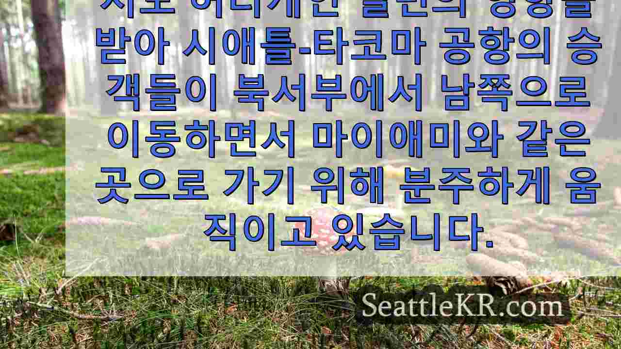 시애틀 뉴스 SeattleKR