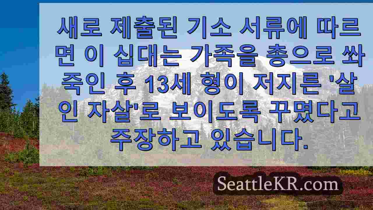 폴 시티 10대 살인 용의자는 성인으로 재판을 받게 될까요? 우리가