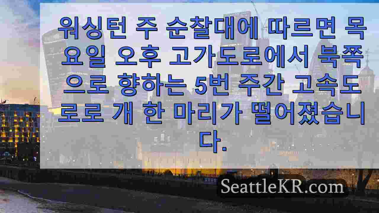 시애틀 뉴스 SeattleKR