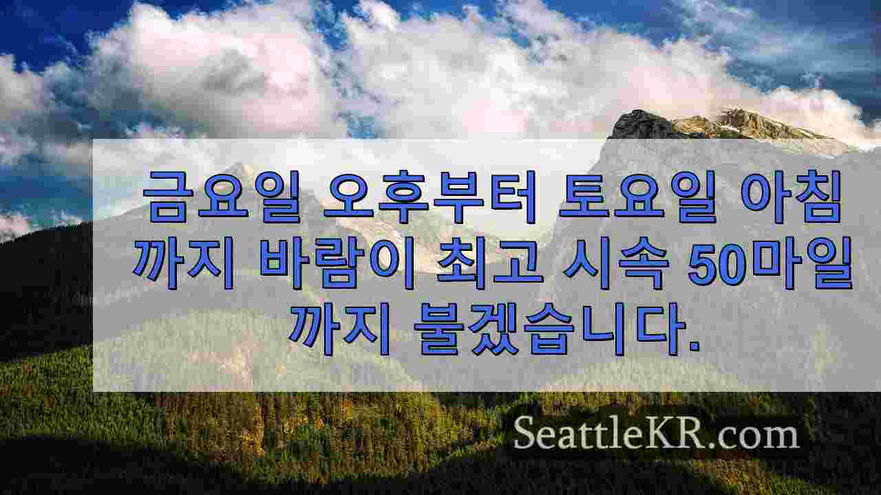 시애틀 뉴스 SeattleKR