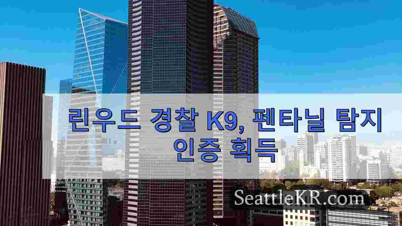 시애틀 뉴스 SeattleKR