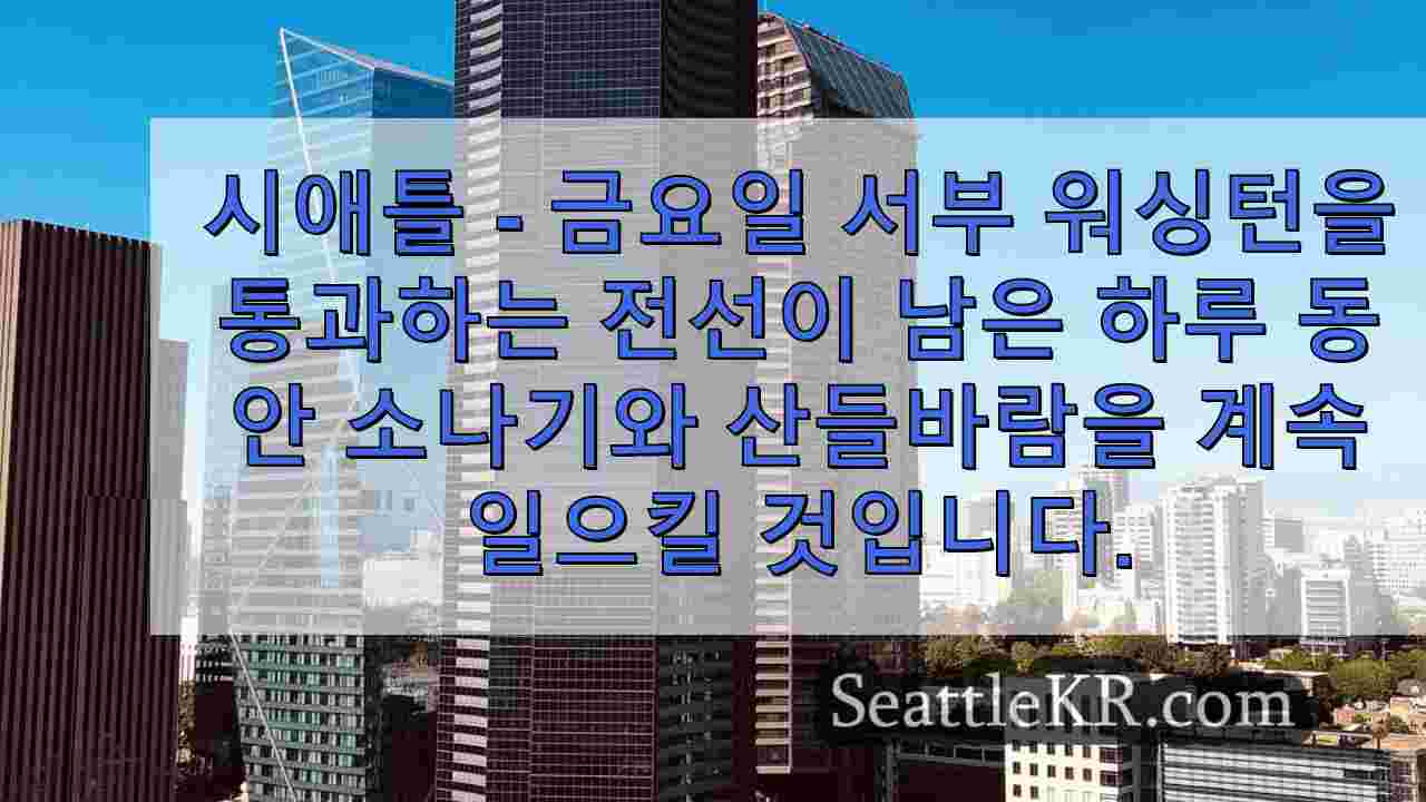 시애틀 날씨: 습하고 바람이 부는 금요일, 건조한 주말을 앞두고