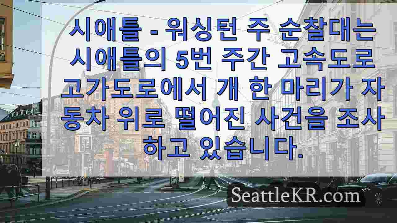 시애틀 뉴스 SeattleKR