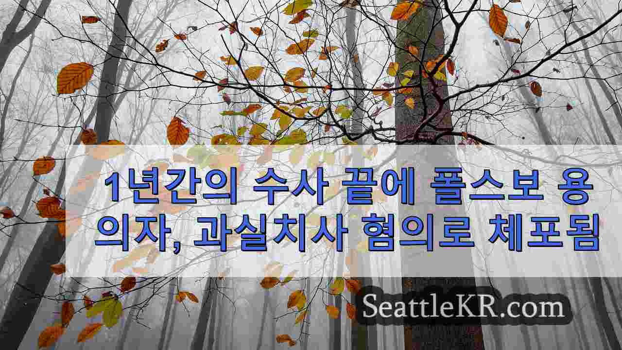 시애틀 뉴스 SeattleKR