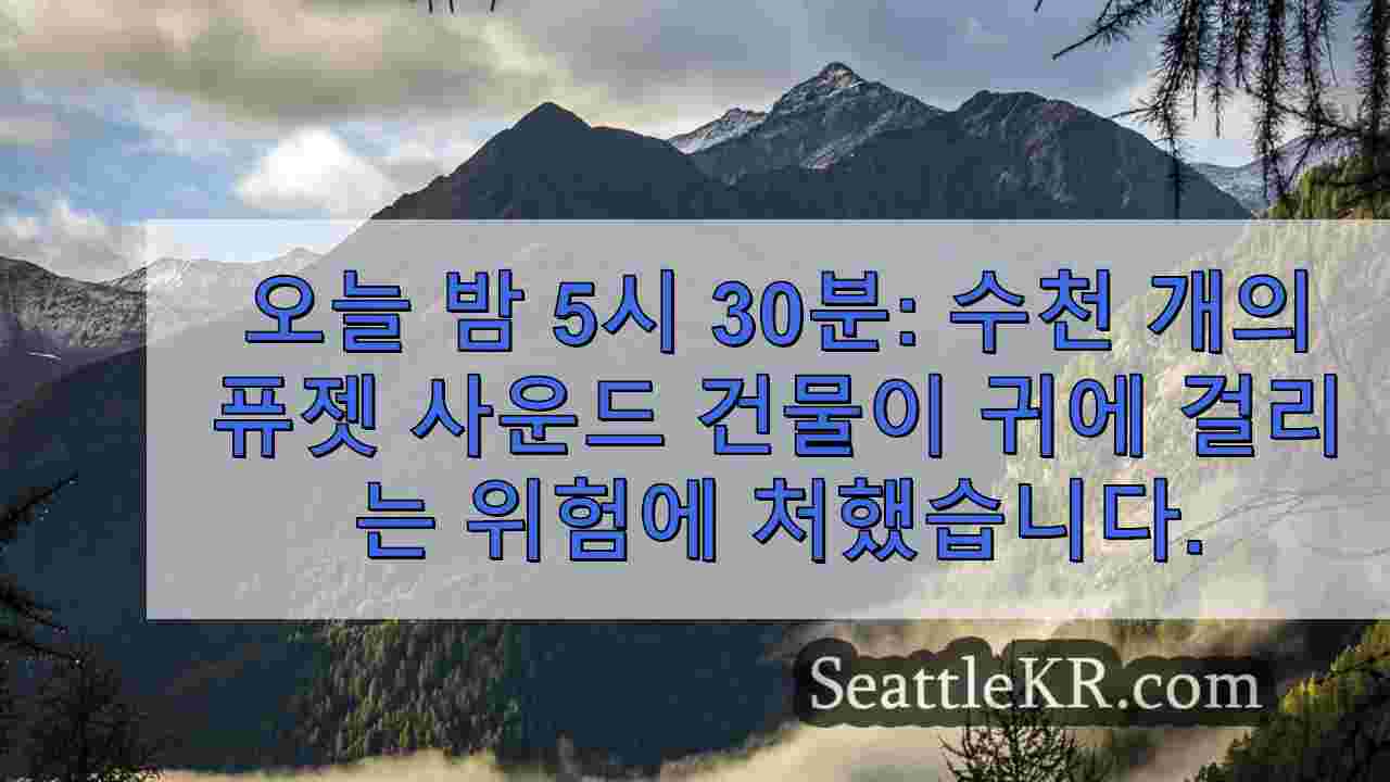 시애틀 뉴스 SeattleKR