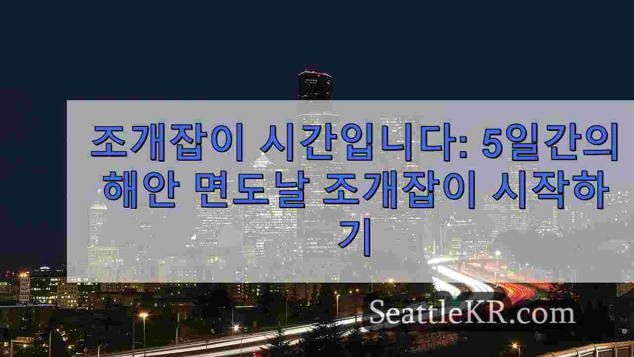 시애틀 뉴스 SeattleKR