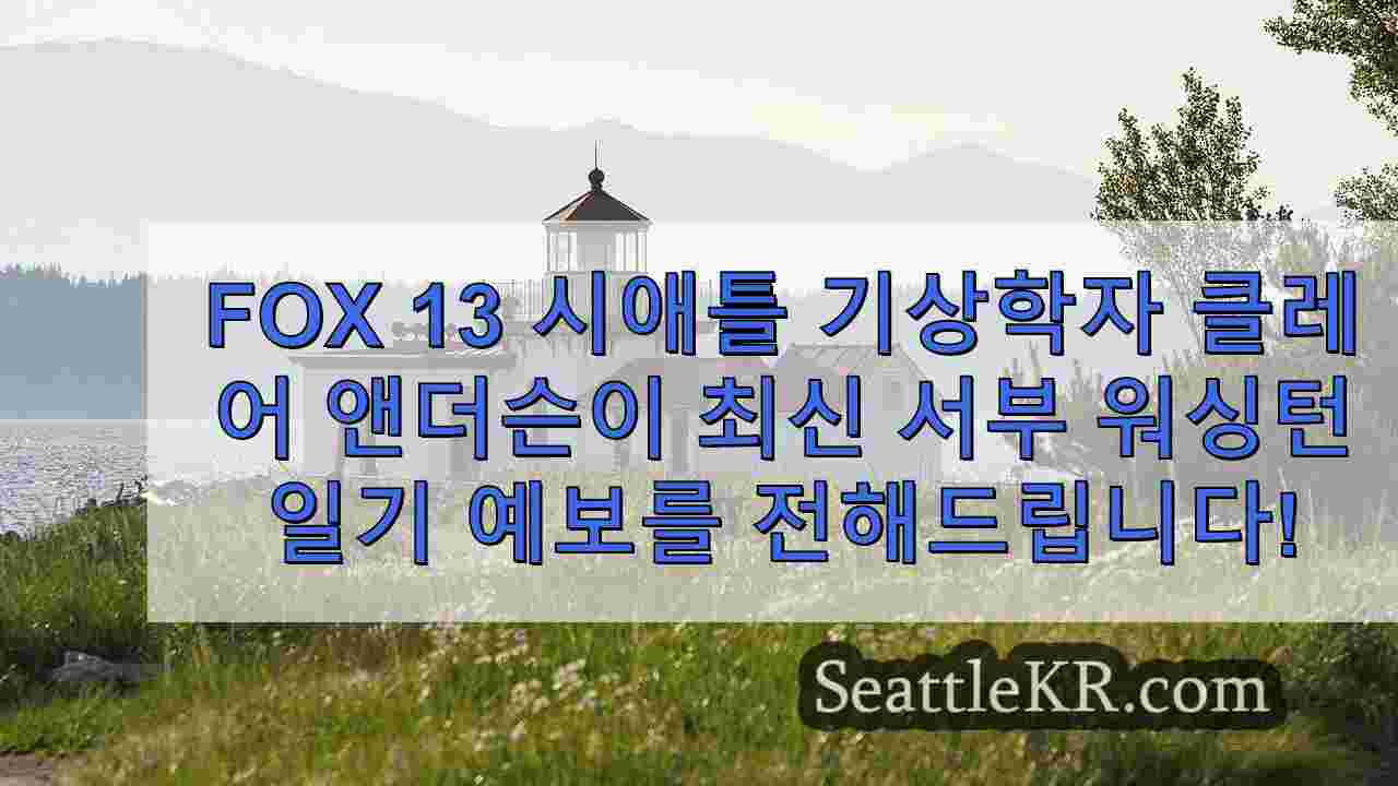 시애틀 날씨: 11월의 습하고 시원하며 산들바람이 부는 날씨