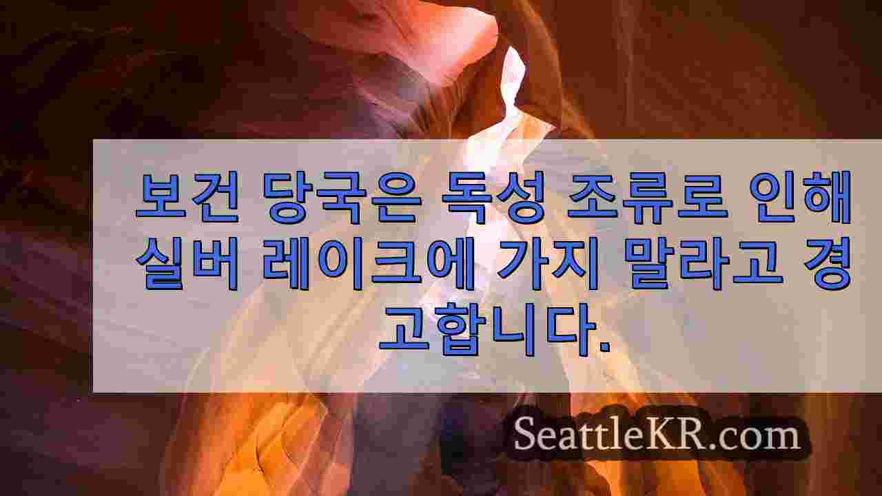시애틀 뉴스 SeattleKR