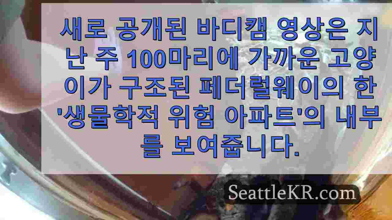 시애틀 뉴스 SeattleKR