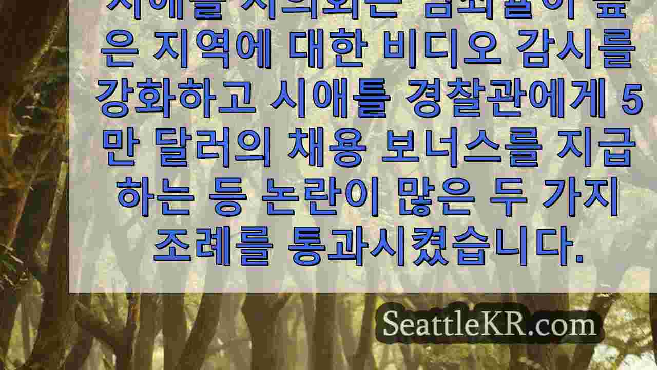 시애틀 뉴스 SeattleKR